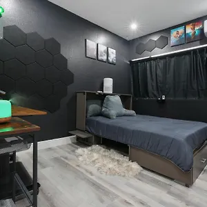 Modern A Creator's Dream Tampa